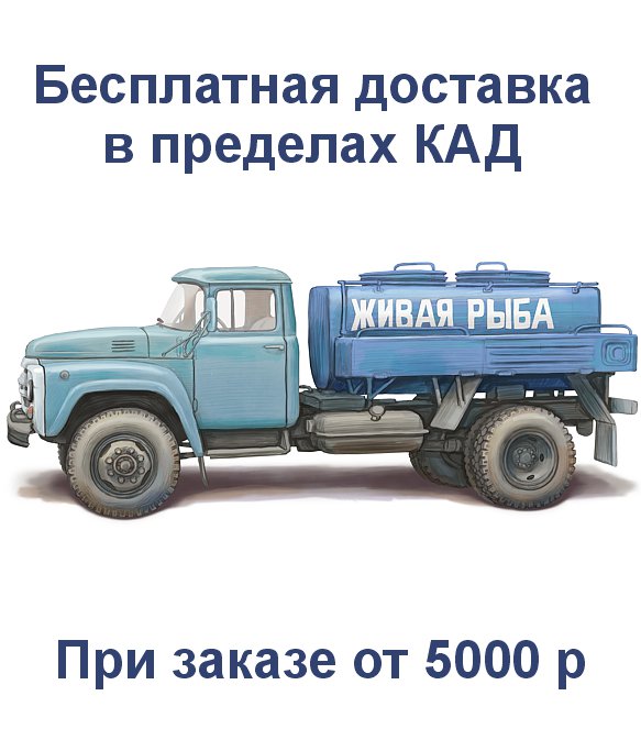 Бесплатная доставка